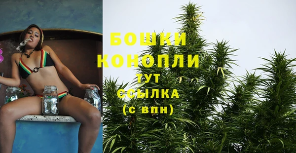 каннабис Арсеньев