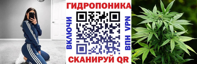 Канабис гибрид  Сухиничи 